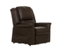 Elsie Power Lift Power LayFlat Recliner - Gibson McDonald Furniture & Mattress 