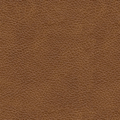 Carianna Sofa Sleeper - Gibson McDonald Furniture & Mattress 