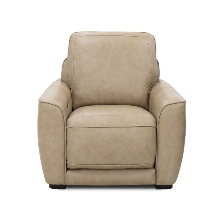 Blake Recliner P2 & ZW - Gibson McDonald Furniture & Mattress 