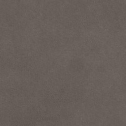 Darcy Sofa - Gibson McDonald Furniture & Mattress 