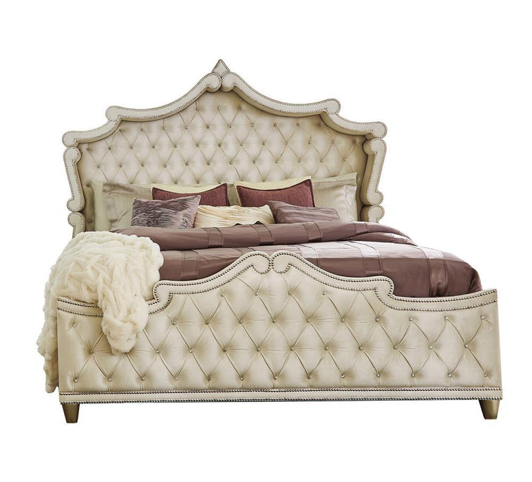 Antonella Upholstered Tufted Queen Bed Ivory and Camel - Gibson McDonald Furniture & Mattress 