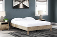 Oliah Queen Panel Bed - Gibson McDonald Furniture & Mattress 