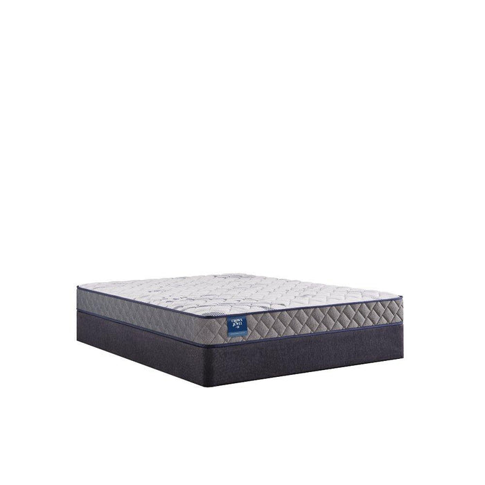 First & Park Foam Mattress
