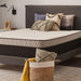 Spruce Innerspring Mattress - Gibson McDonald Furniture & Mattress 