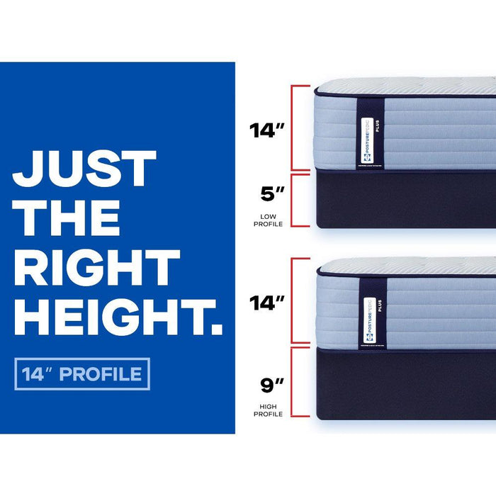 Hagerstown Spring Mattress