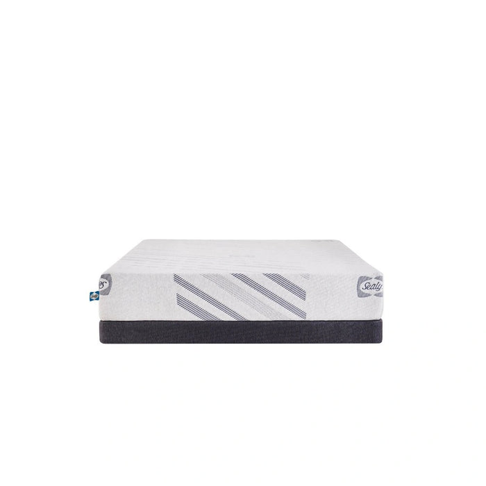 Sealy Lane Foam Mattress
